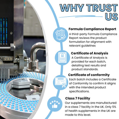 Lion’s Mane + Ashwagandha Fusion — Focus & Calm Under Pressure